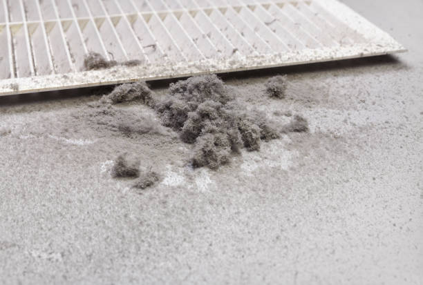 Best Affordable Air Duct Cleaning  in Daphne, AL