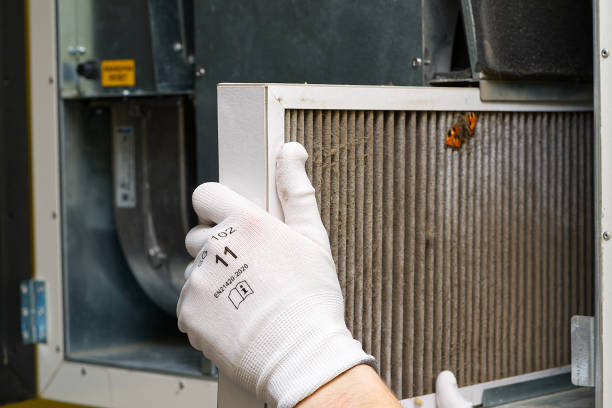 Best HVAC Duct Inspection Services  in Daphne, AL