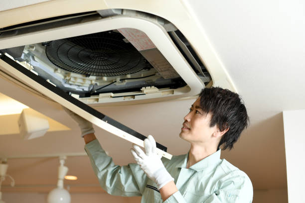 Best Professional Duct Cleaning Services  in Daphne, AL