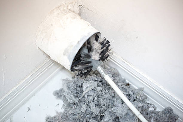 Best Home Air Vent Cleaning  in Daphne, AL
